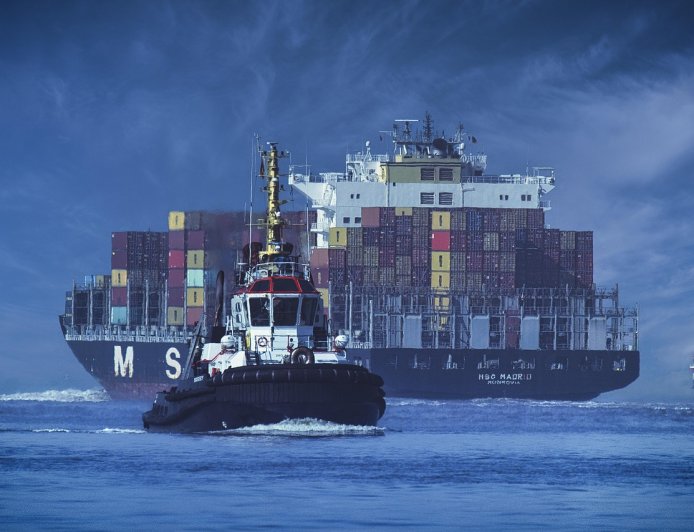 Global trade has maintained its grip despite tariff turbulence